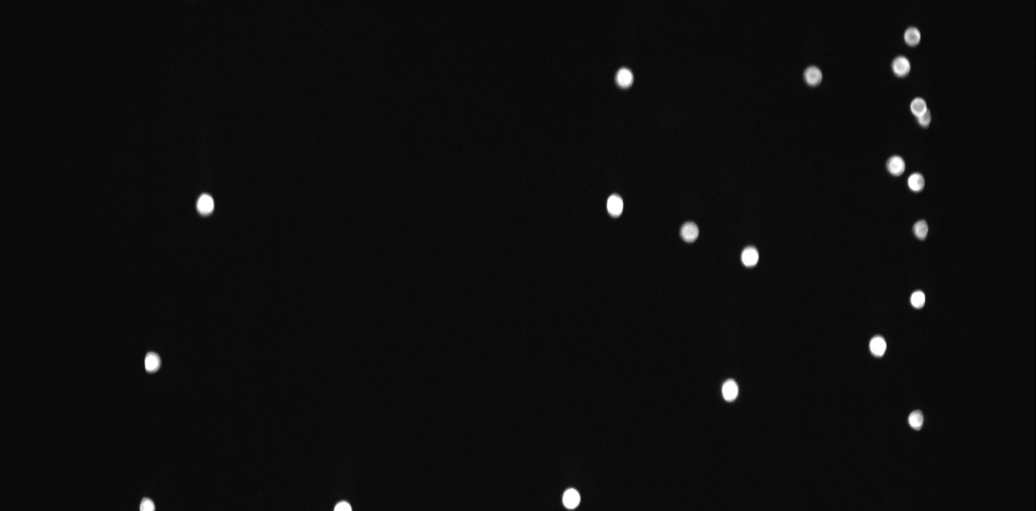 1761631996528403.png 图片2.png